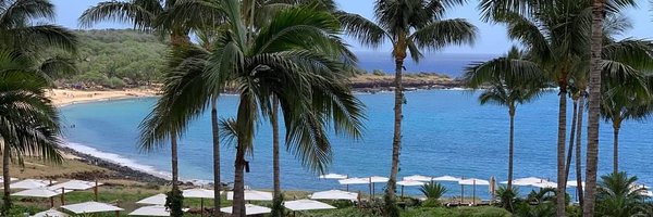 Bethfaiman Profile Banner