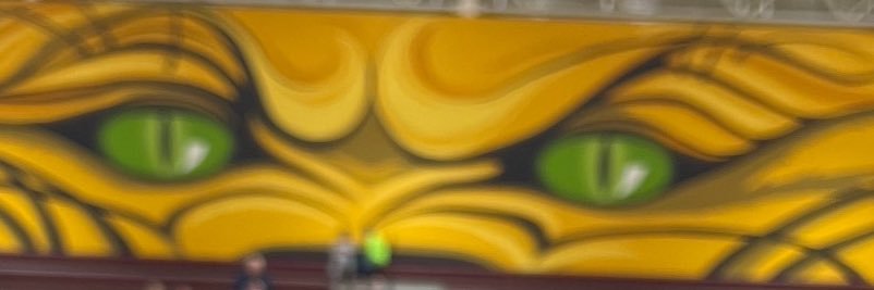 morrisseypw's profile banner image