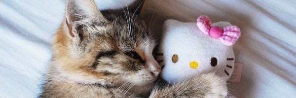hauteposition's profile banner image