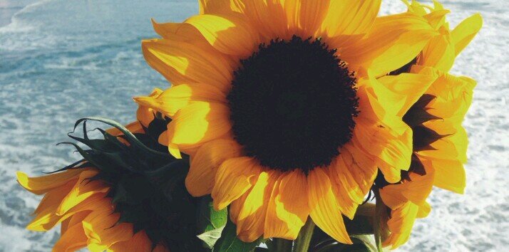 andreeuh19's profile banner image