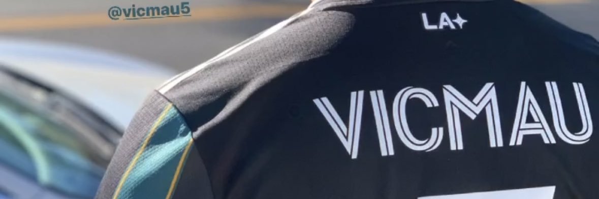 ViCMau5's profile banner image