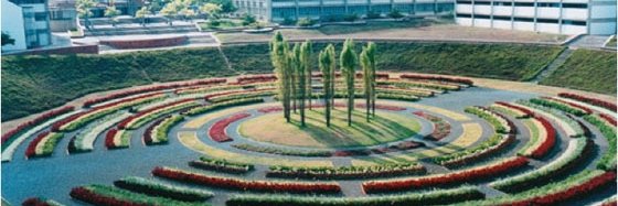 Fernando Lovera banner