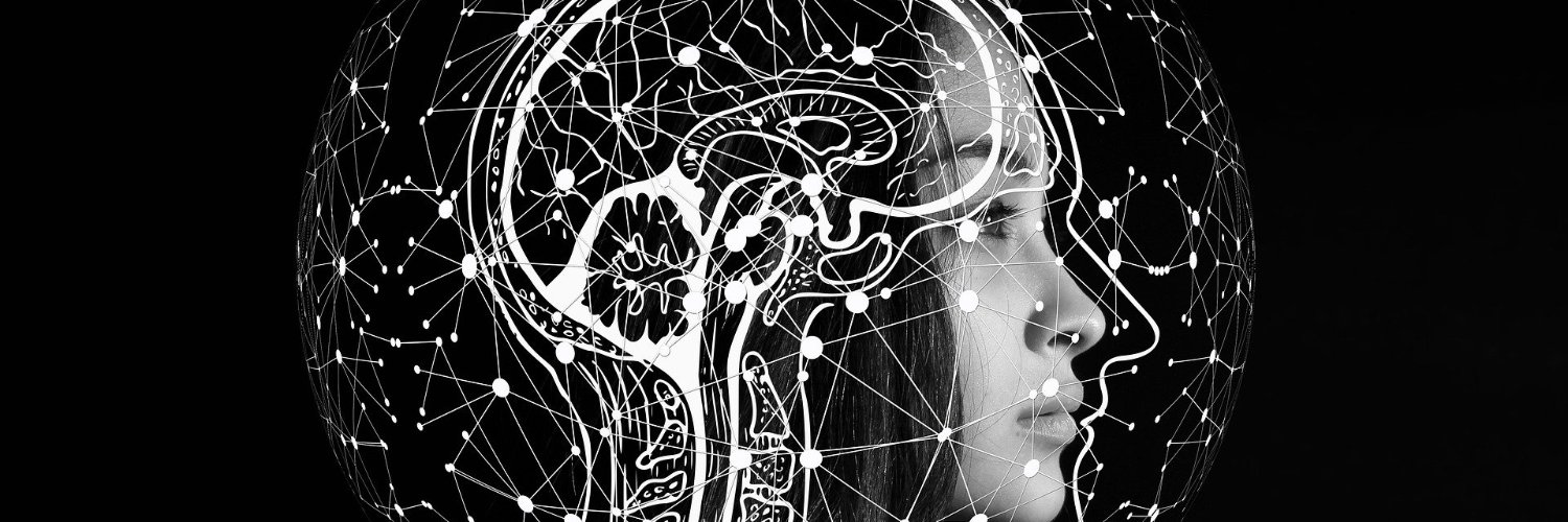 Michael Meguerdichian banner