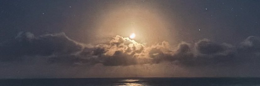 Sofi banner