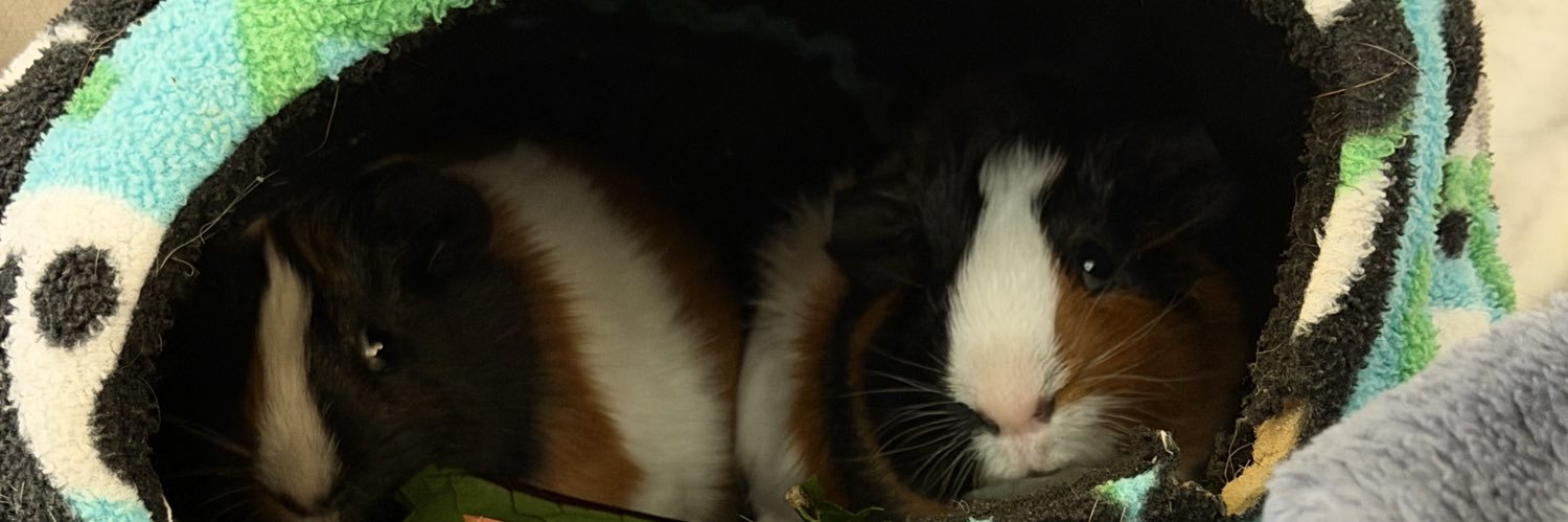 Marcel & Benito banner