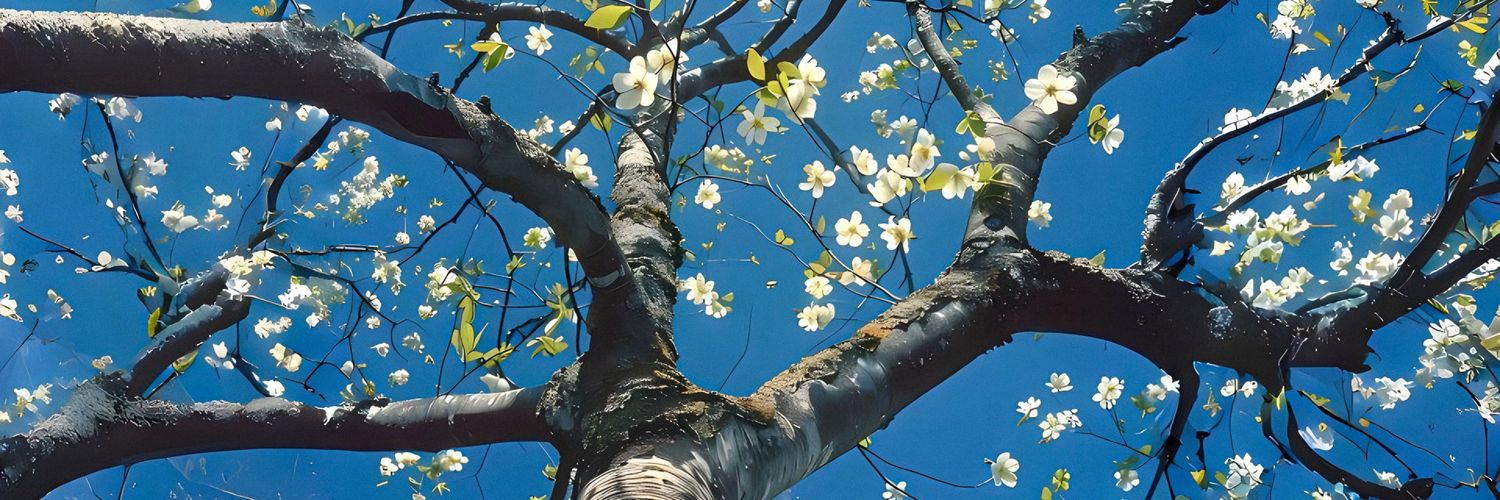 CDurga_'s profile banner image
