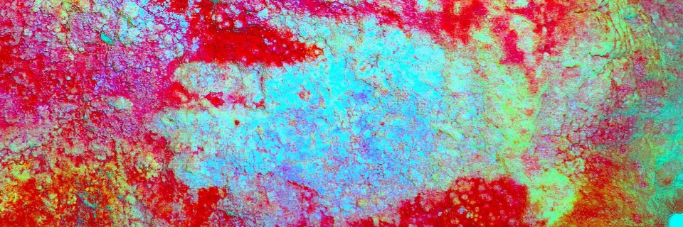 Tusk - Knapping through the Digital Ice Age banner