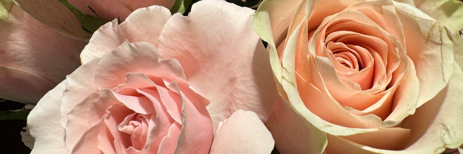JanAnneDubin's profile banner image