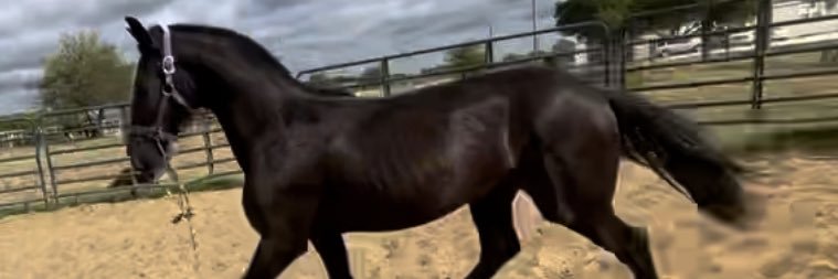 V.Moore 🇩🇪Deutsch banner