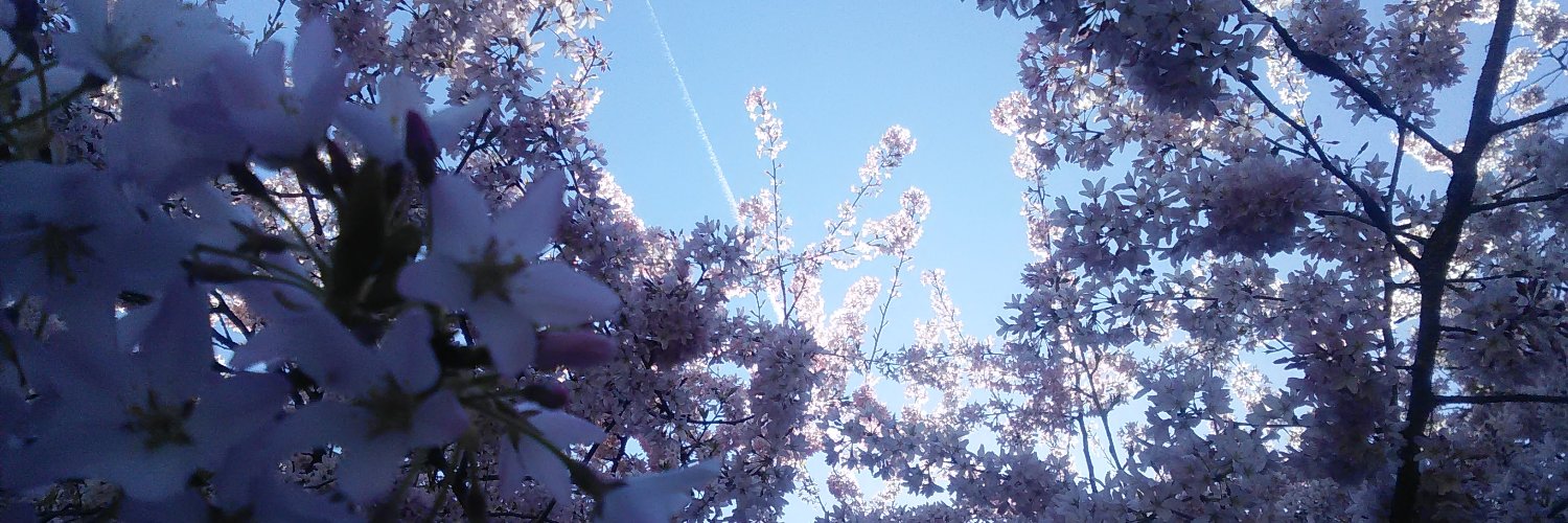 Dream-Mancer - Personal Acct. banner