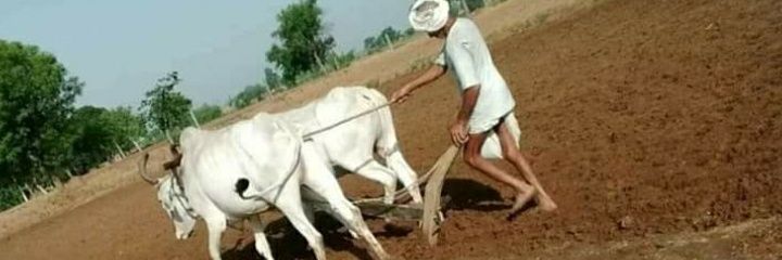 maneesh_tdm's profile banner image
