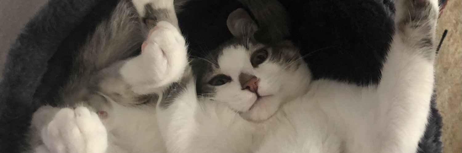 jeeennlpz's profile banner image