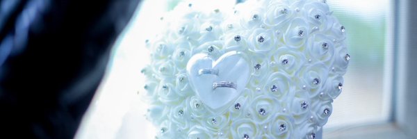 Nikkusbell Profile Banner