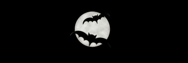 Batmaaaan____'s profile banner image