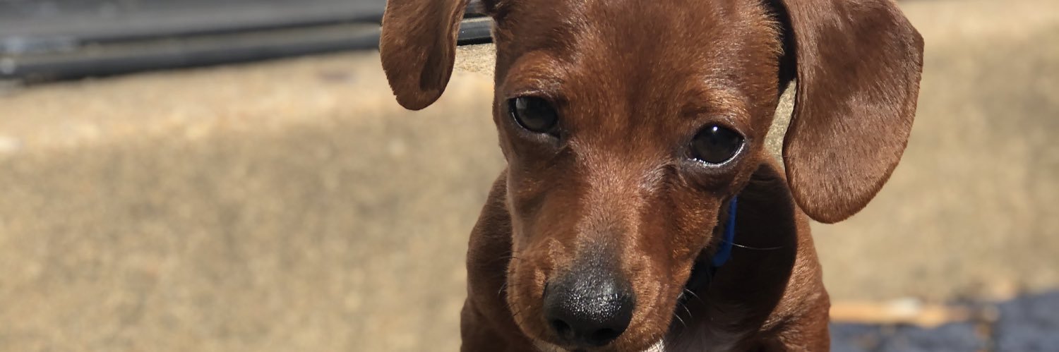 k_renae8's profile banner image