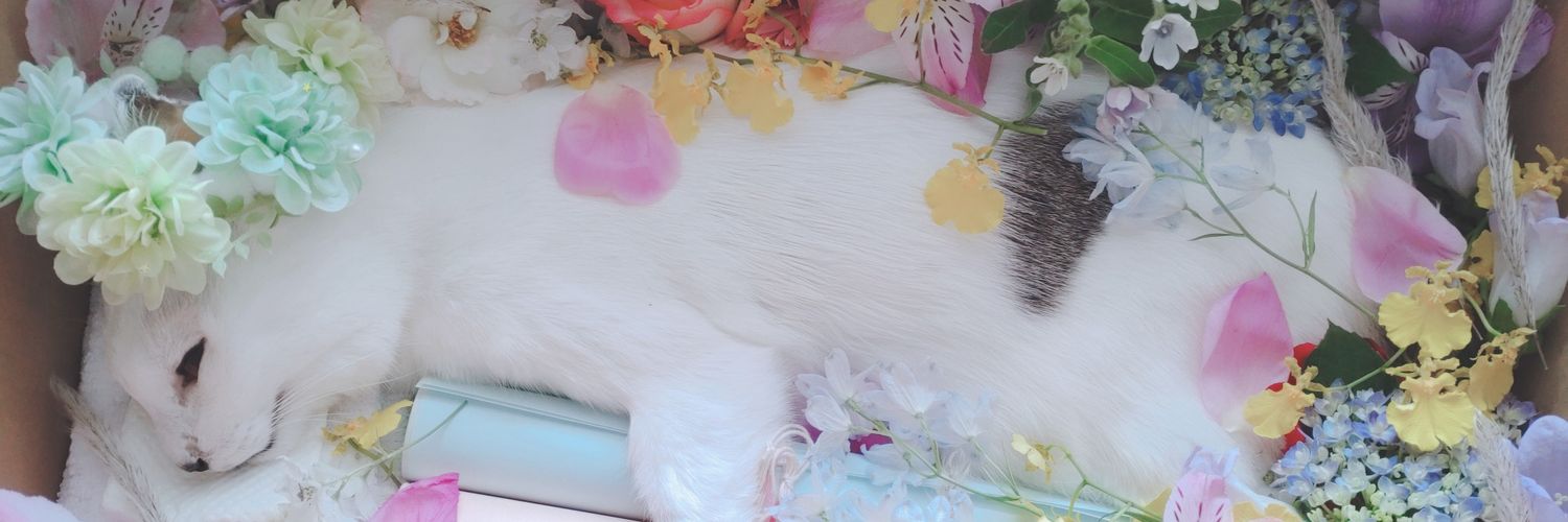 strawberryminam's profile banner image