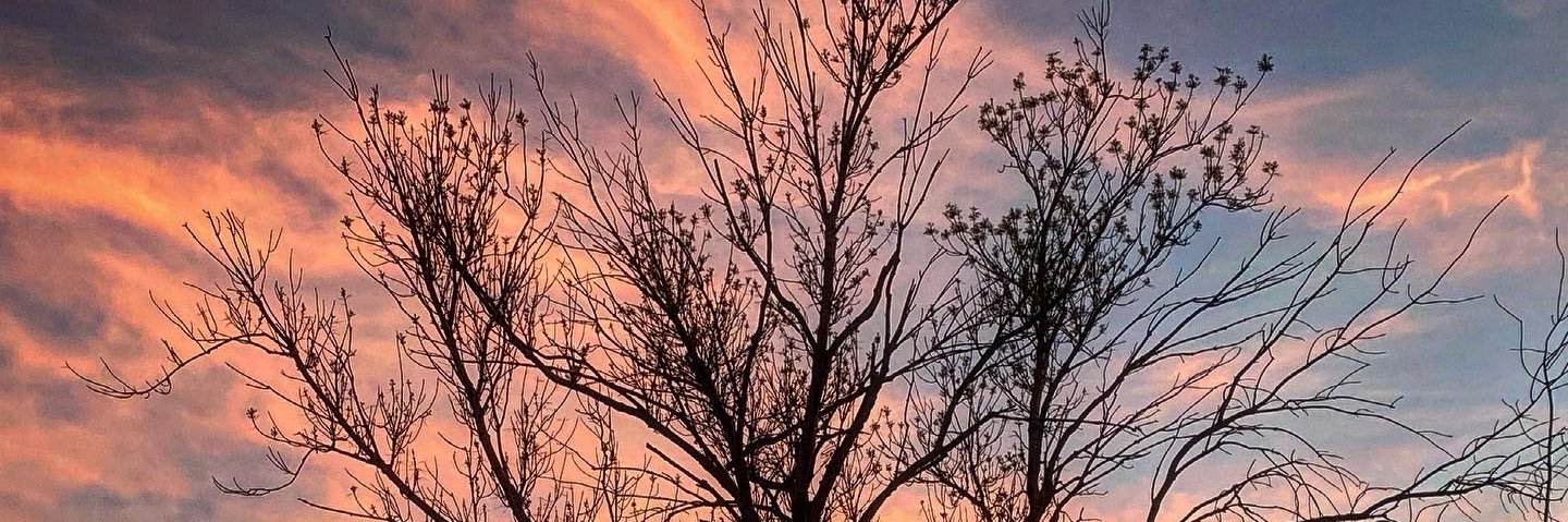 nora_gil's profile banner image