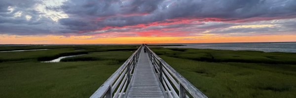 _bache Profile Banner