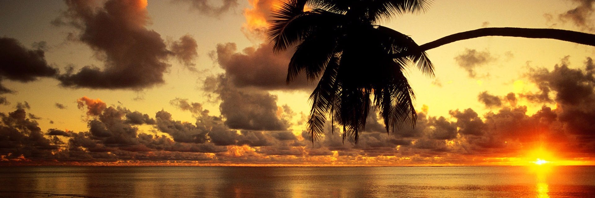 Xlapaz_Colombia's profile banner image