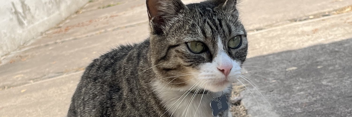 tichlop's profile banner image