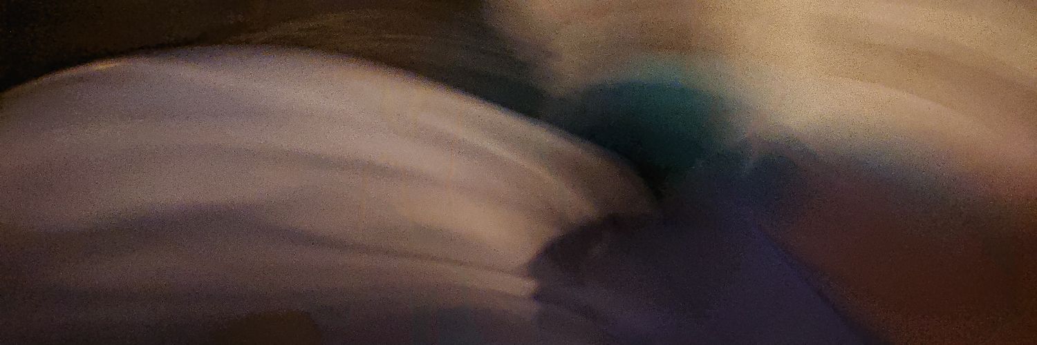 Nyström banner