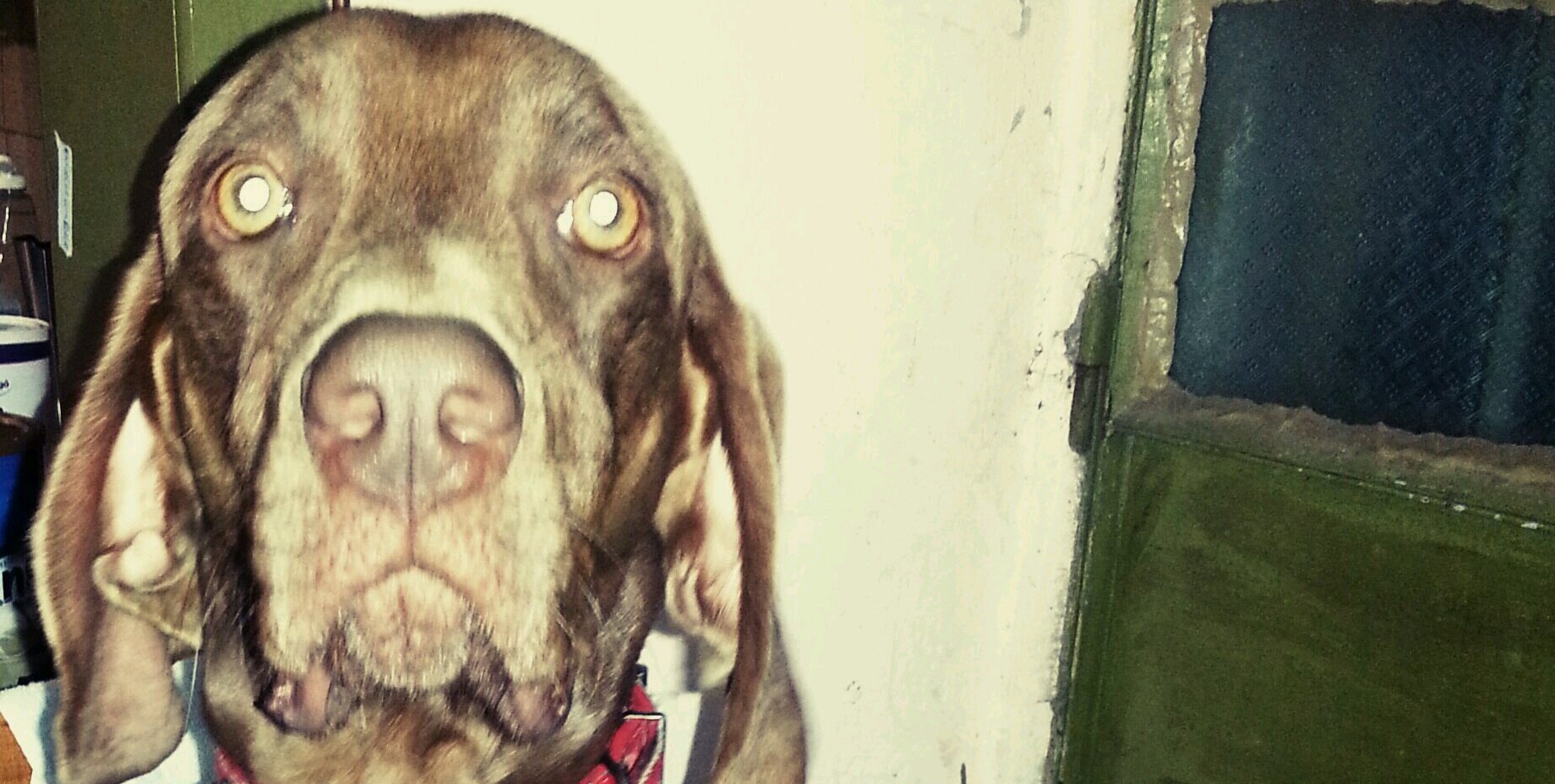 jorgitoook's profile banner image