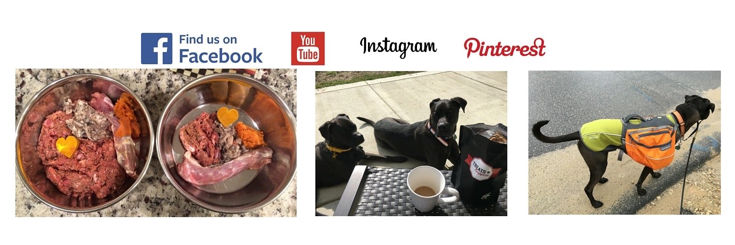 K9s Over Coffee banner