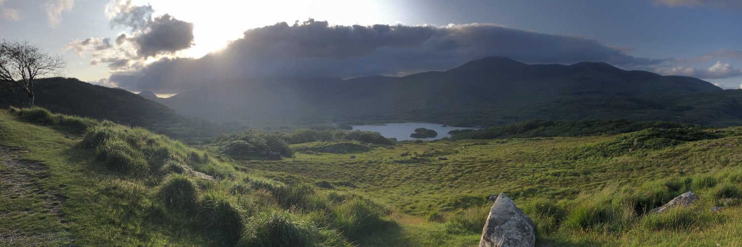 meganjonker's profile banner image