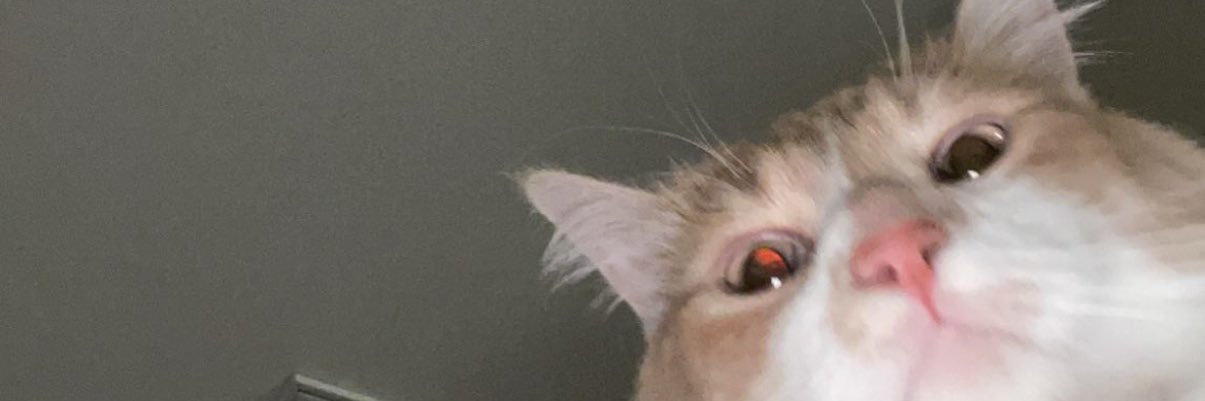 tavsrasheed's profile banner image