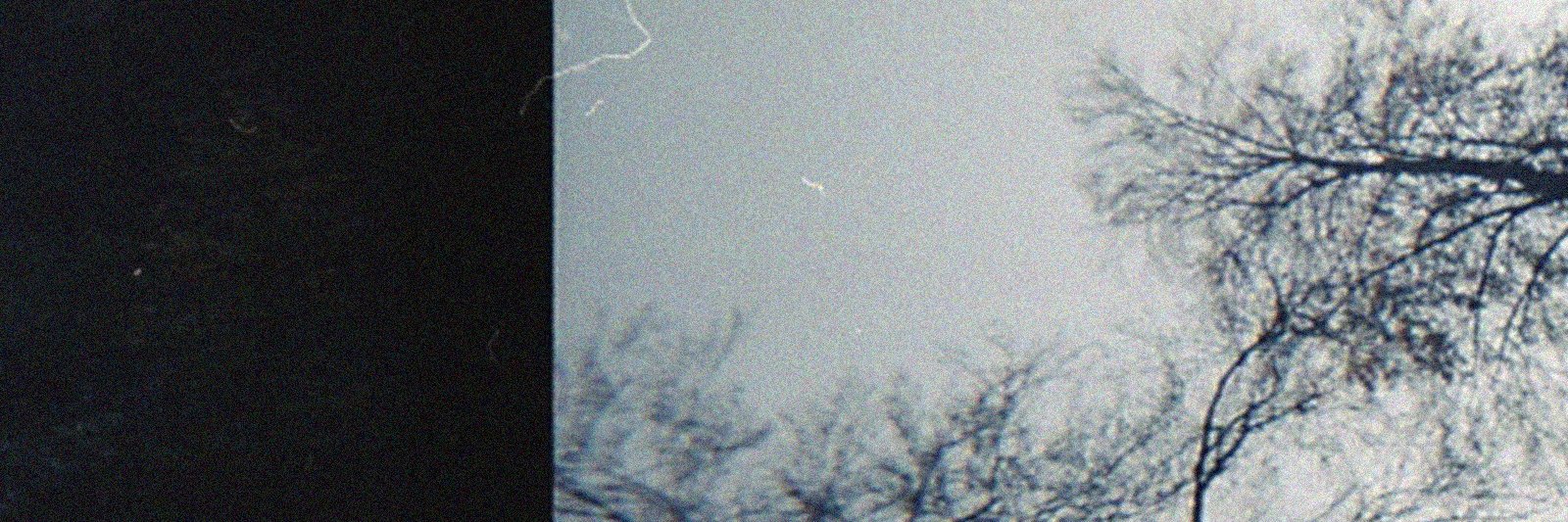 Vanessa E. Wayne banner