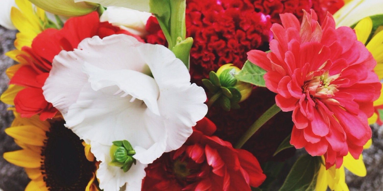 kileymorris14's profile banner image