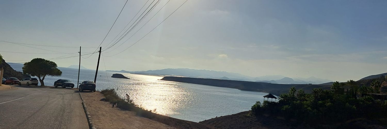 Alex. banner