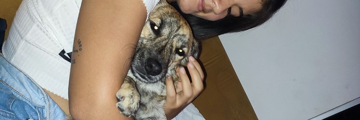 SoyPdcForever's profile banner image