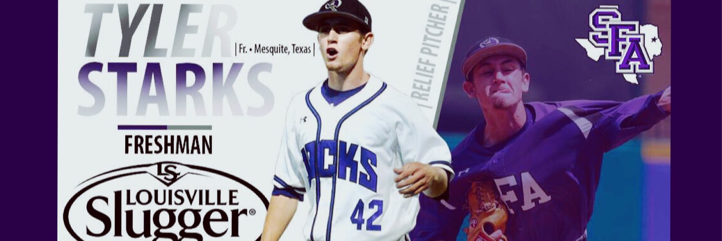 TESLPS's profile banner image