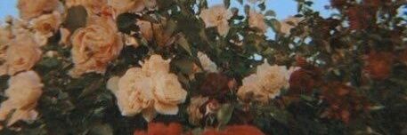 Heydi banner