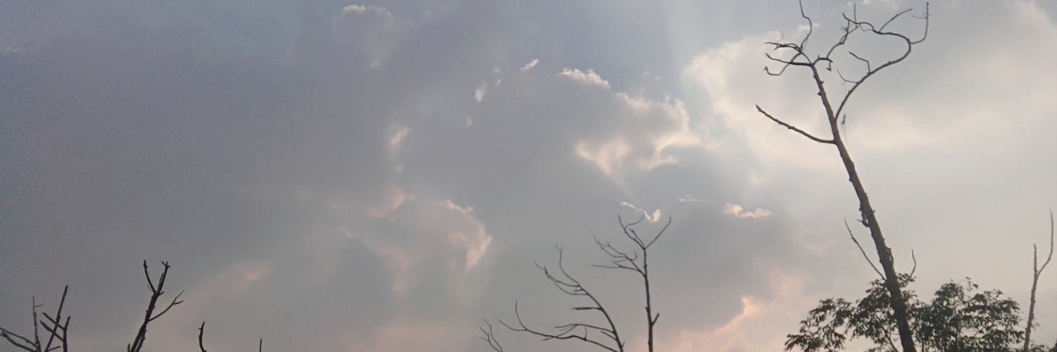 alfia19's profile banner image