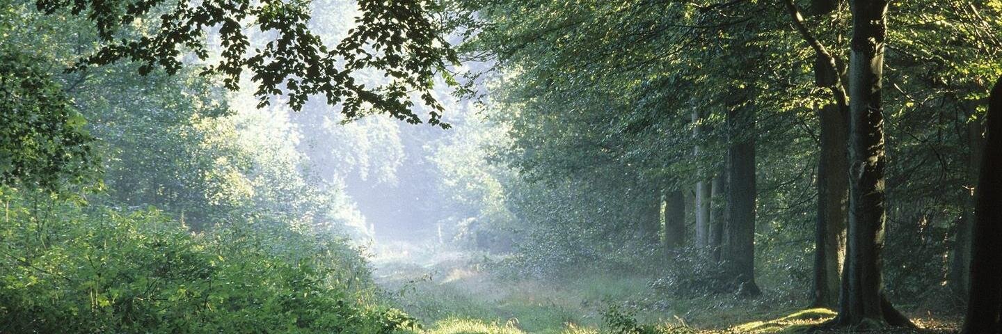 KatnissWA's profile banner image