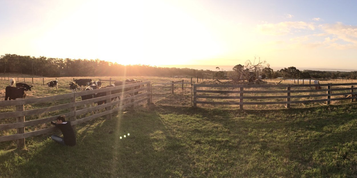 Raphael Tuil 🇫🇷🇪🇸🇦🇺 banner