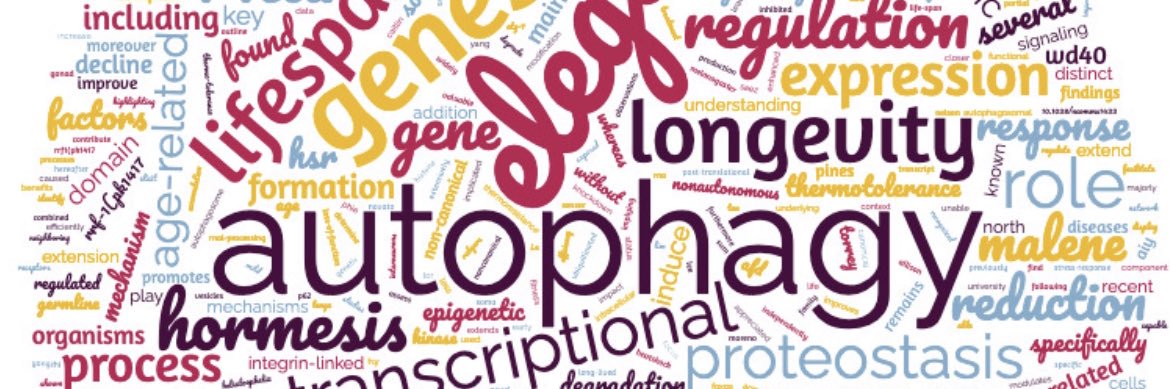 Caroline Kumsta banner