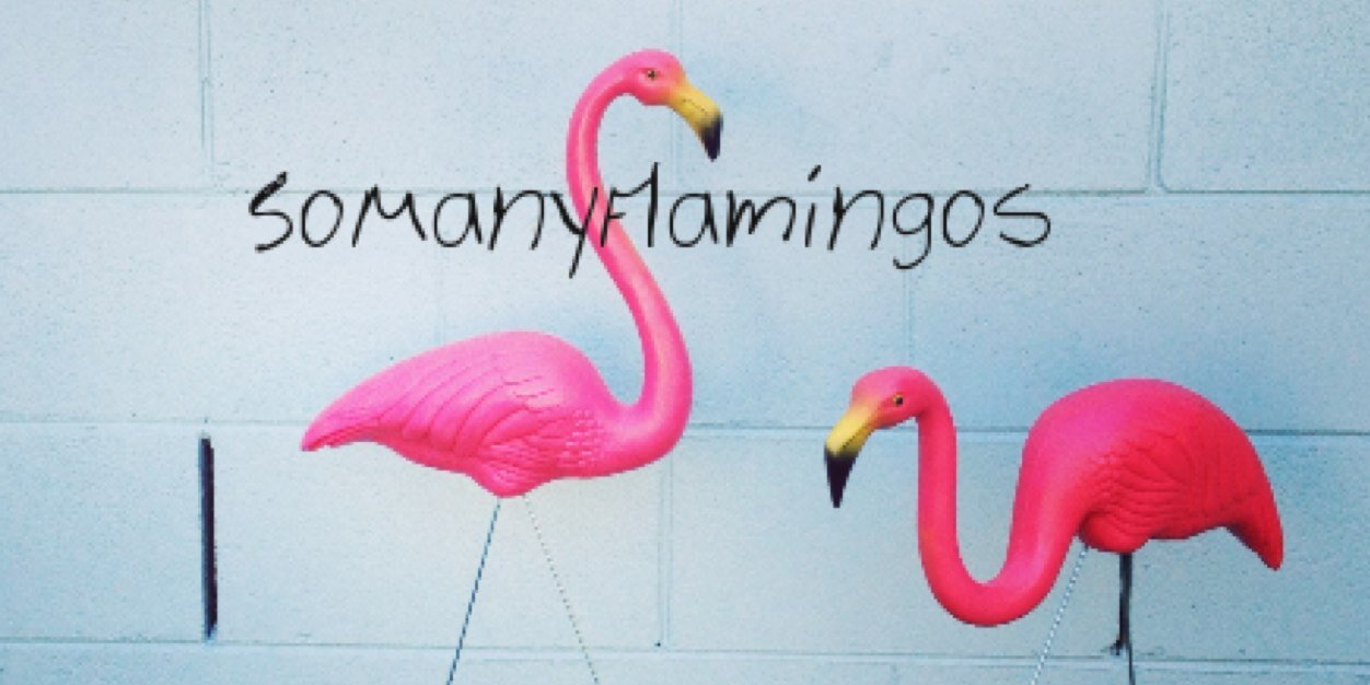 SoManyFlamingos's profile banner image