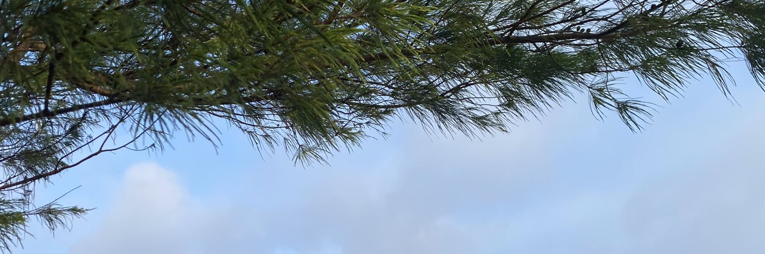 KidLayda's profile banner image