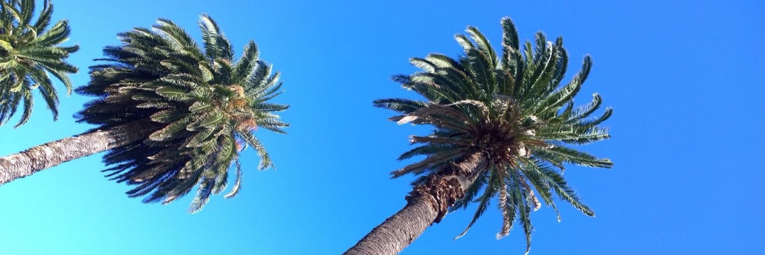 CharlotteeMills's profile banner image