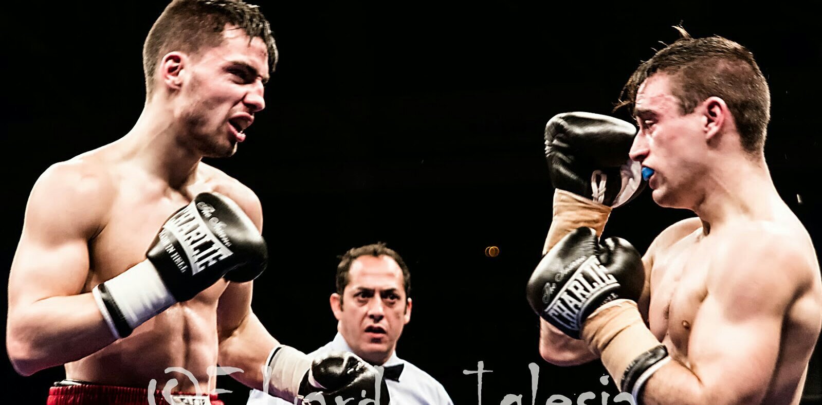 orgazcarrey's profile banner image