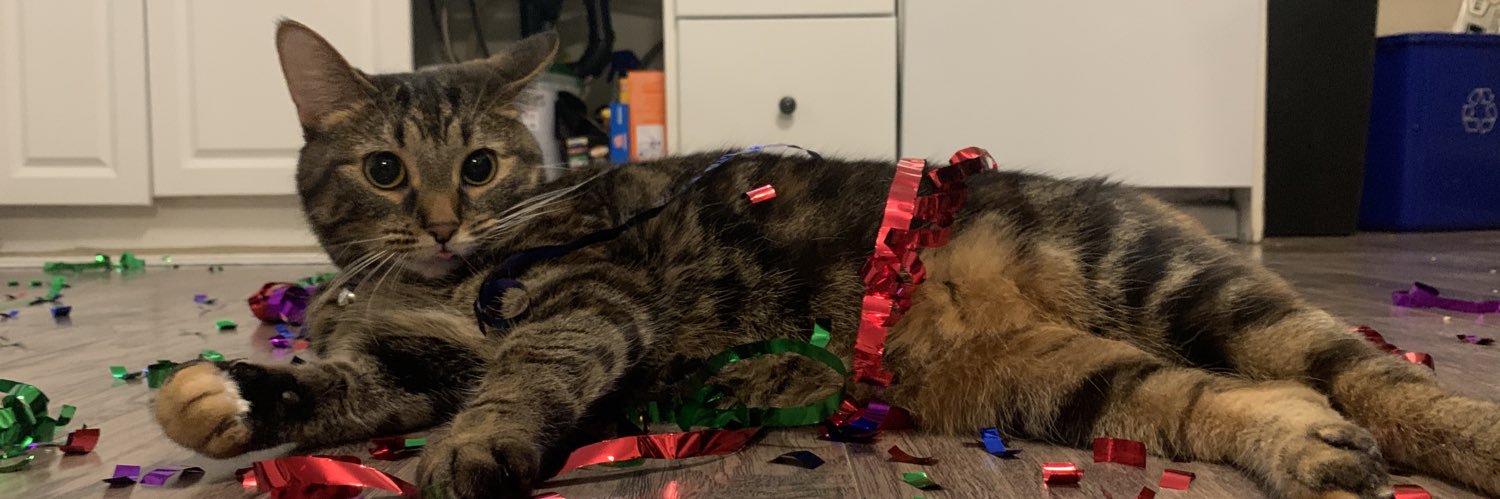 cassidyblyan's profile banner image