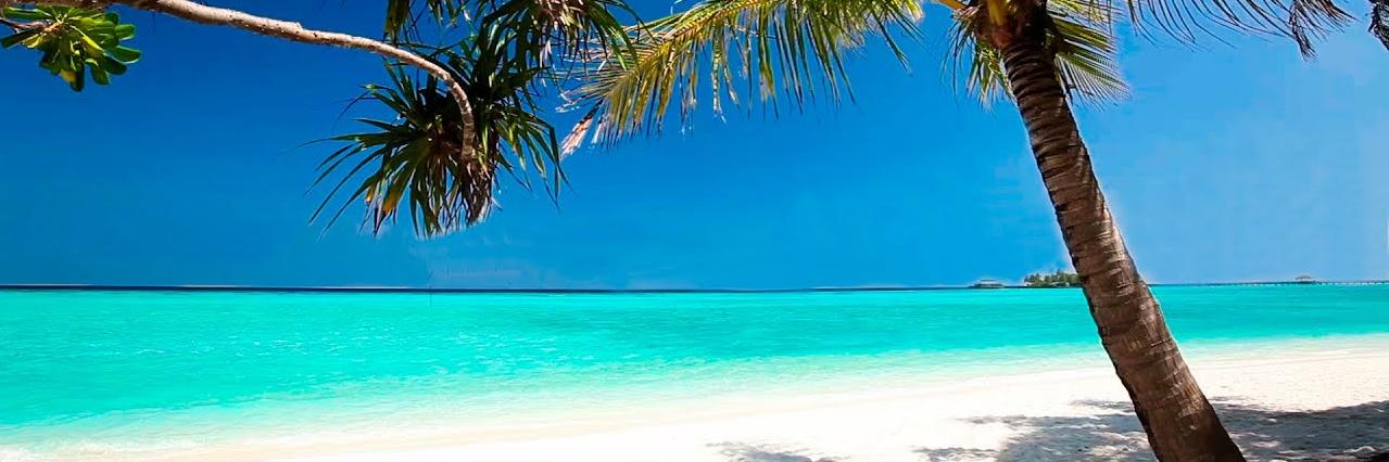 🜲 A.K x 777 banner