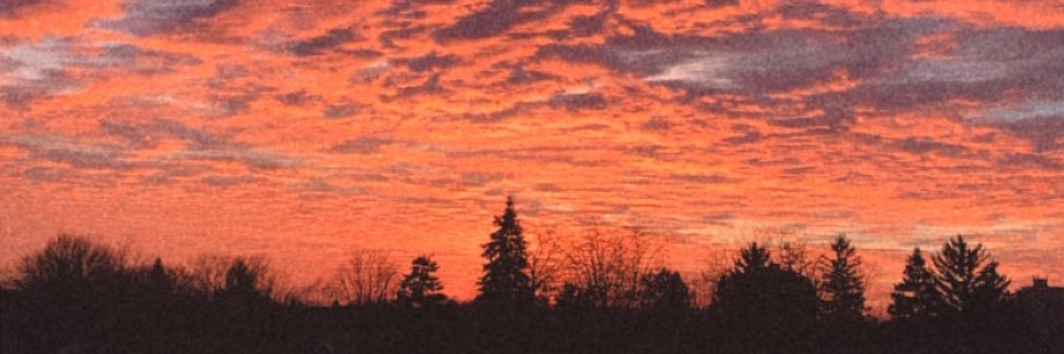hoddeerlaura's profile banner image