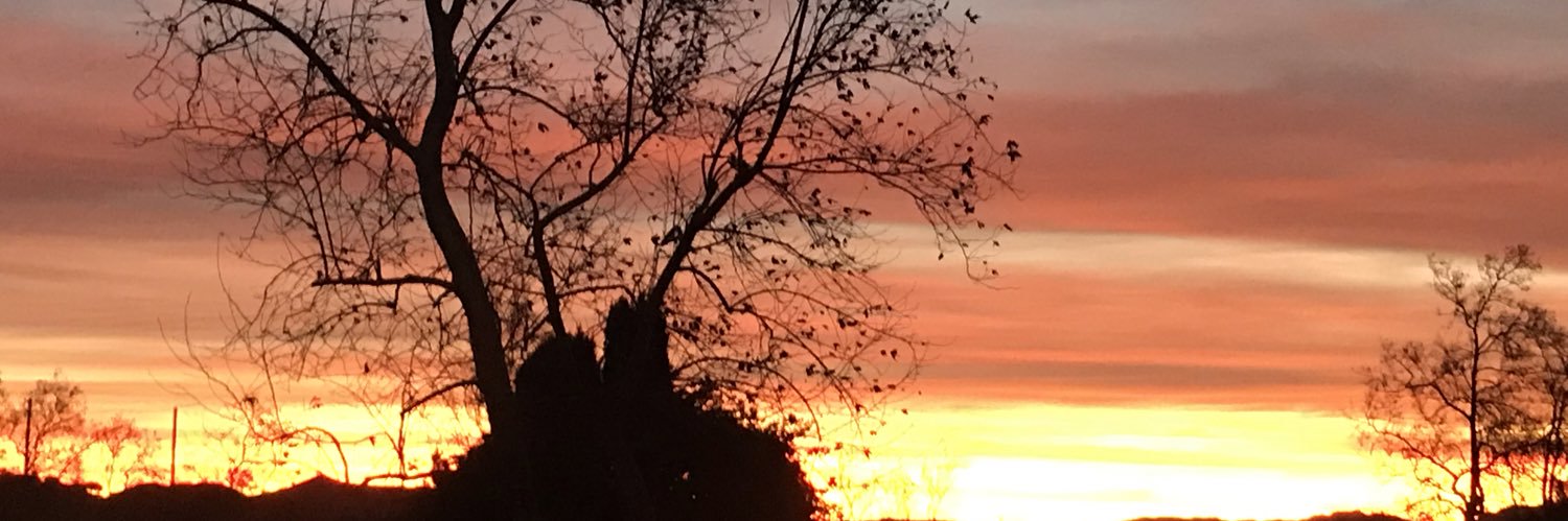 archiebs's profile banner image