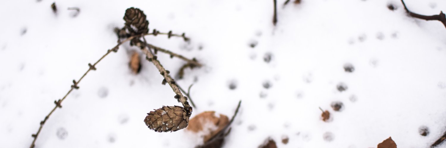 ionegrof's profile banner image