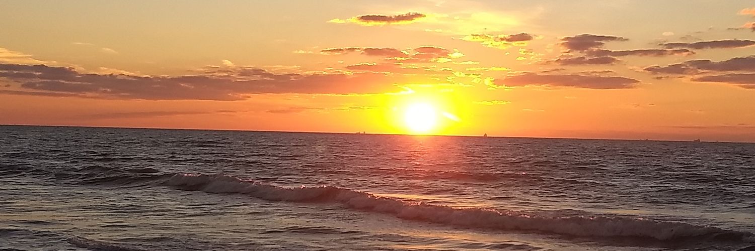 Constance Banks banner