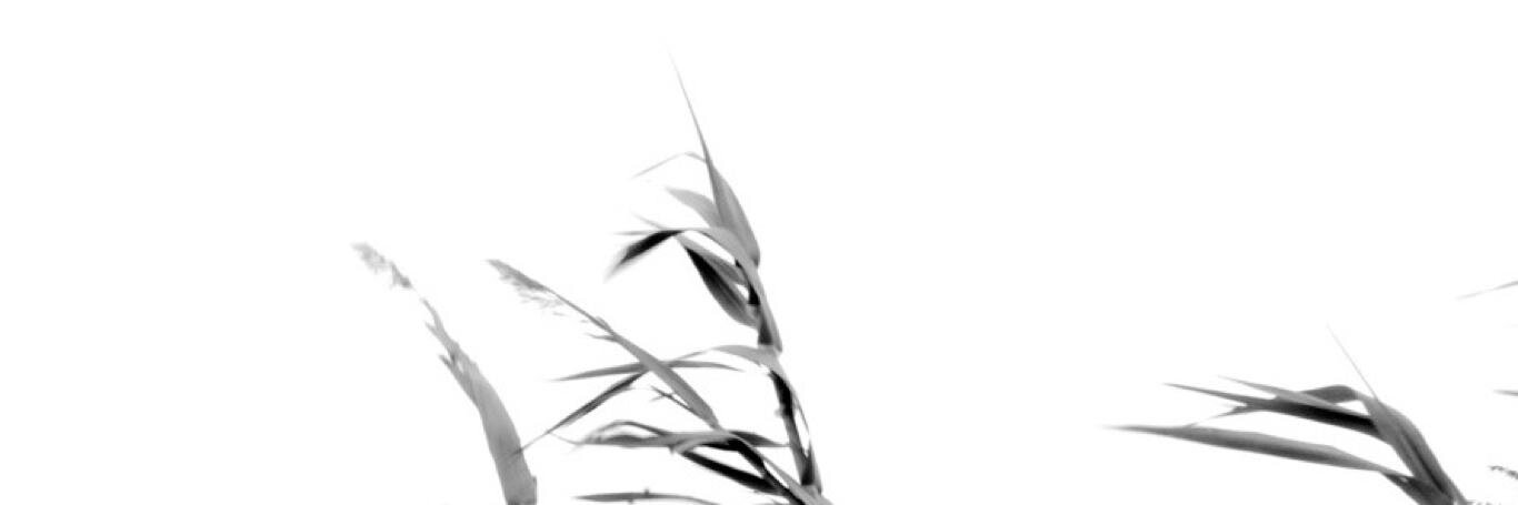 h_verdier's profile banner image
